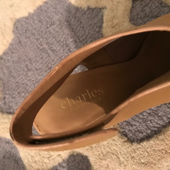 Charles by Charles David Open-Toe Tube Heels - Picture 5 of 6